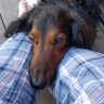 Profilbild von FreakyFreak