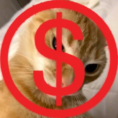 StiflersMomTTV's profile picture