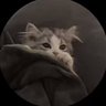 Parker's profile picture