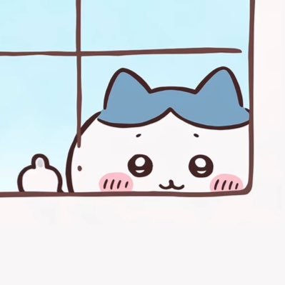 nmcao116's profile picture