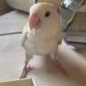 まー's profile picture