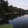 Aligator_Dulac profil fotoğrafı