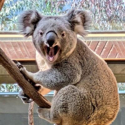王子動物園市民サミット's profile picture