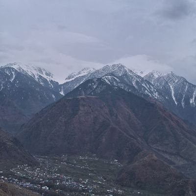 aliahsuali's profile picture