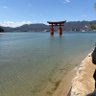 Фото профиля meanwhile in Japan