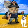 哈基米fella's profile picture