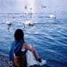 悠悠姐🌸🕊🍀's profile picture