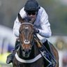 Profilbild von G.P.W Horse Racing Tips