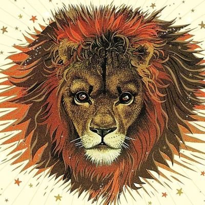 Portal Aslan's profile picture