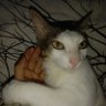 Profilbild von LopheByMe
