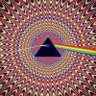 Фото профиля Robert Langley