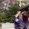りお❦ 的头像