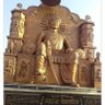 Фото профиля Jitendra Singh