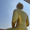 せなか profil fotoğrafı
