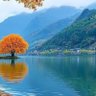 晓风熙月 profil fotoğrafı