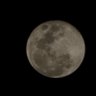 Profilbild von Moon Light
