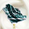 الشامخ's profile picture