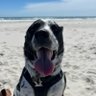 MrCooperTok's profile picture