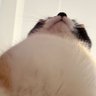 たろこ。's profile picture