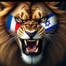 Dror M's profile picture