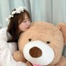 Profilbild von さーぼー