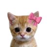 Фото профиля greencherry ˚.🎀༘⋆