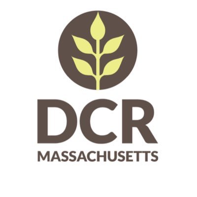 MassDCR's profile picture