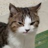 Mer's profile picture