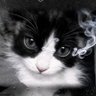 卦不理🖤's profile picture