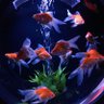 Фото профиля なお