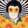 Sunshine Superman 的头像