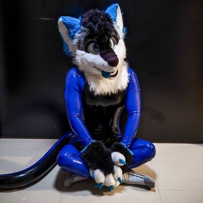 KovieWusky's profile picture