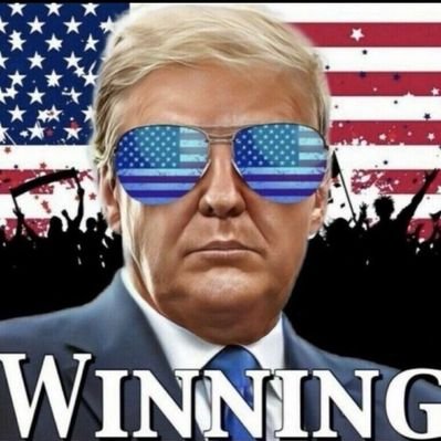 トランプ Stand For Trump's profile picture