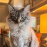 Ragan profil fotoğrafı