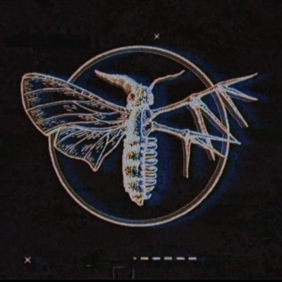 Holding Absence's profile picture