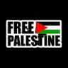 Free Palestine 的头像