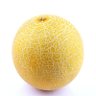 Malons's profile picture