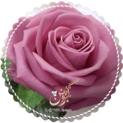 💞گوين💞's profile picture