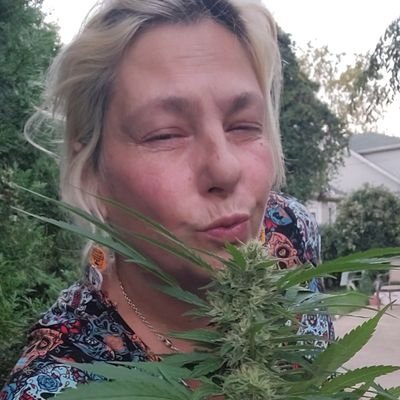 vr4sweet's profile picture