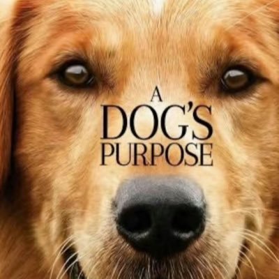 imtoobigforu's profile picture