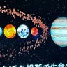 地球🌏人間 profil fotoğrafı