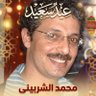 Mohamed Elsherbiny's profile picture