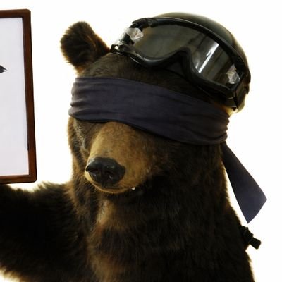 kkcircuit's profile picture