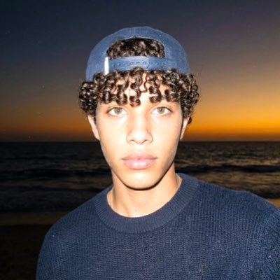 lauanhenriques's profile picture