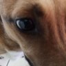 catia's profile picture