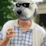 Crypto Dawg 的头像