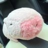 Cing Cing 的头像