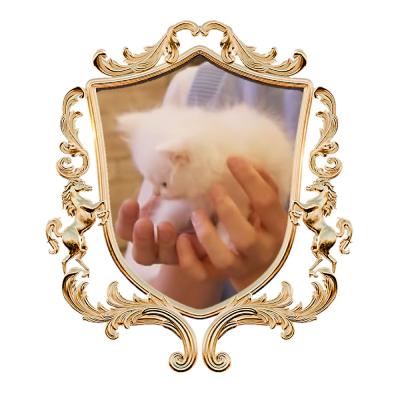 moon’s eve 🐸🐱's profile picture
