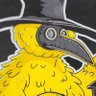 Profilbild von Big Bird Flu