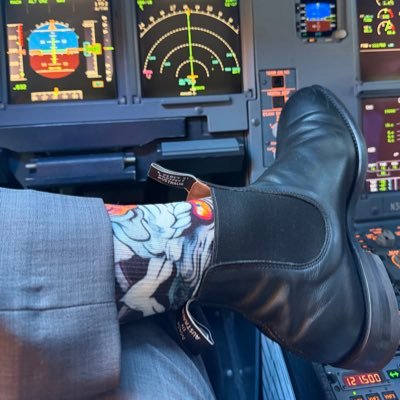 FL410_over_HNL's profile picture